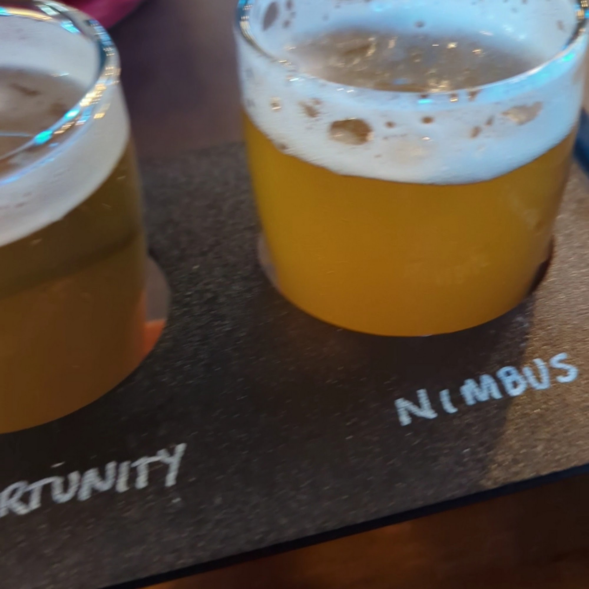 Broken Symmetry Gastro Brewery Bethel