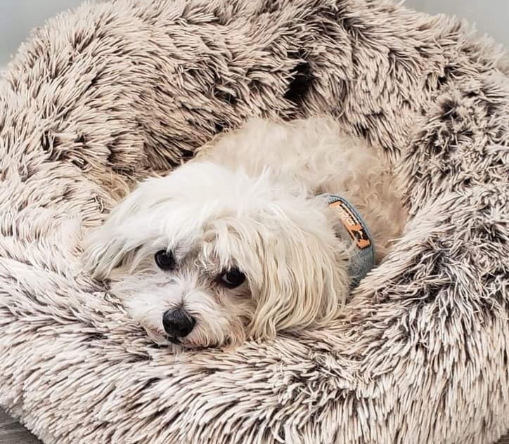 Rock On Trucking Llc