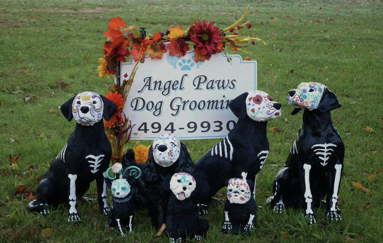 Angel Paws Dog Grooming & Spa Branford