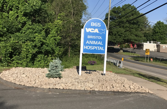 VCA Bristol Animal Hospital Bristol