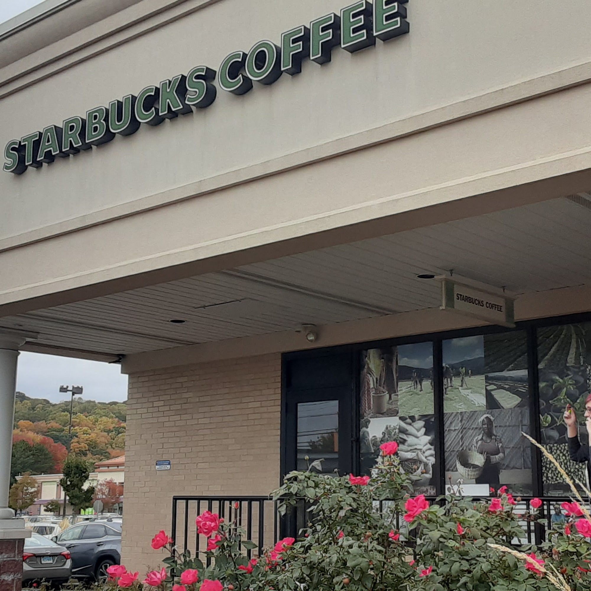 Starbucks Coffee Company Bristol