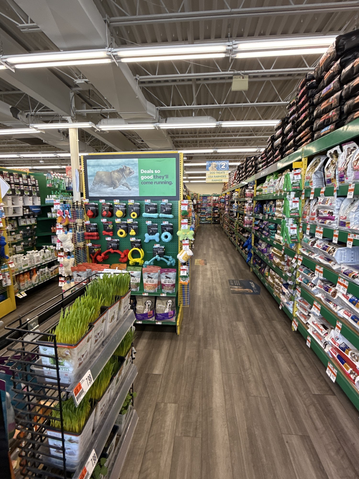 Pet Supplies Plus Bristol Bristol