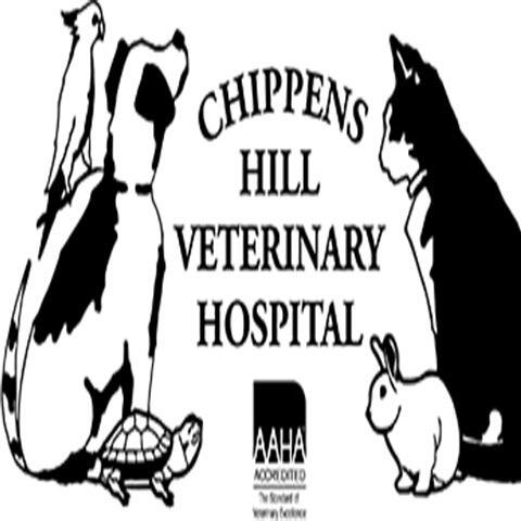 Chippens Hill Veterinary Hospital Bristol
