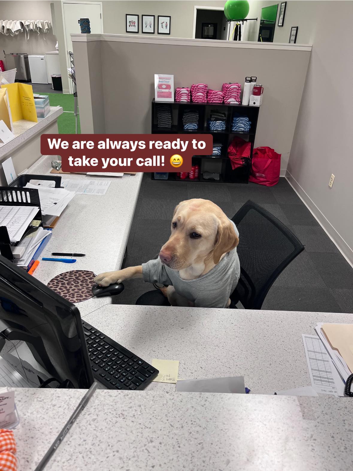 Bristol Physical Therapy, LLC