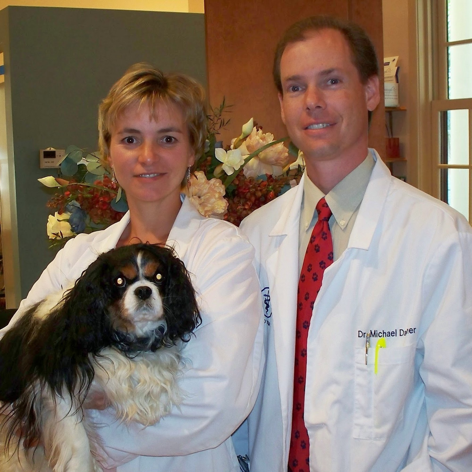 Brookfield Animal Hospital Brookfield