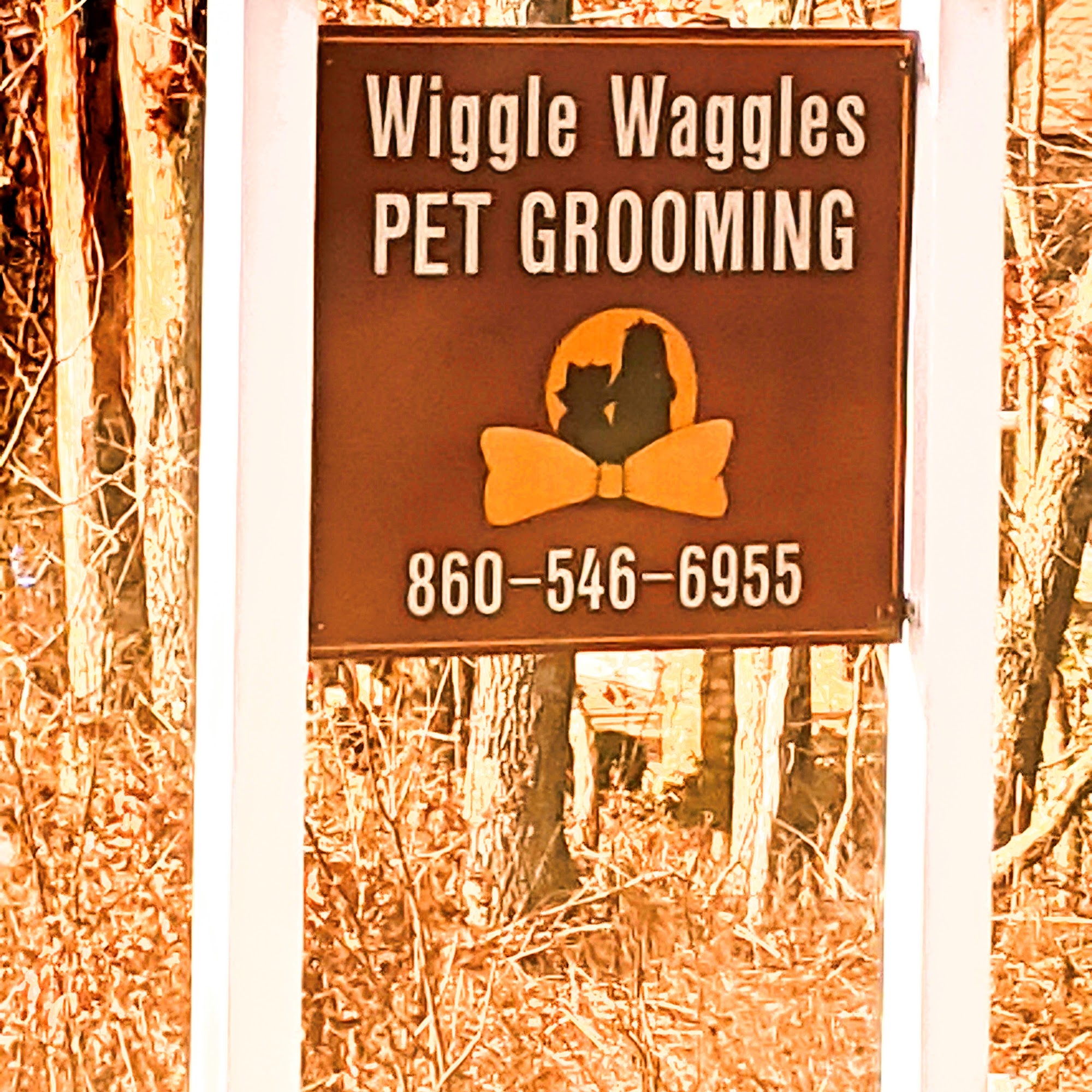 Wiggle Waggles Pet Grooming
