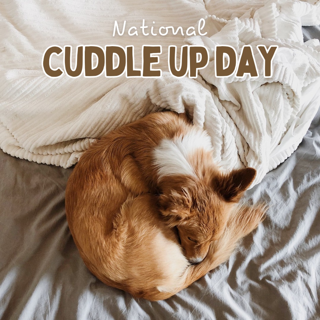 Roaring Brook Kennels Canton