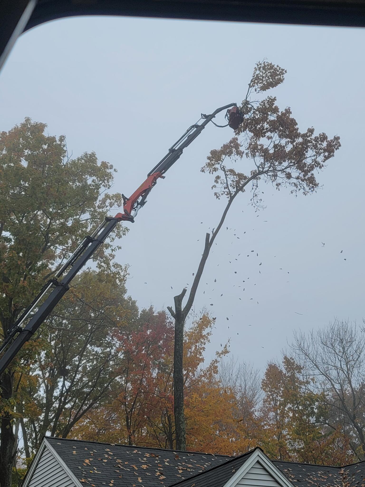 Photo credit: nextdoor