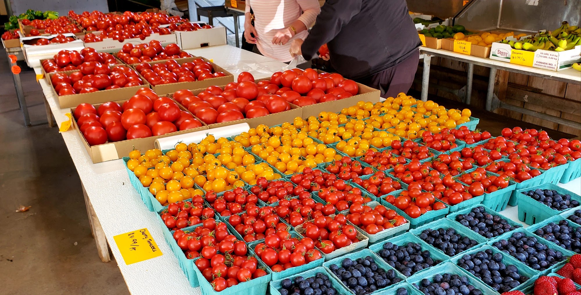 Carmody's Farm Cheshire