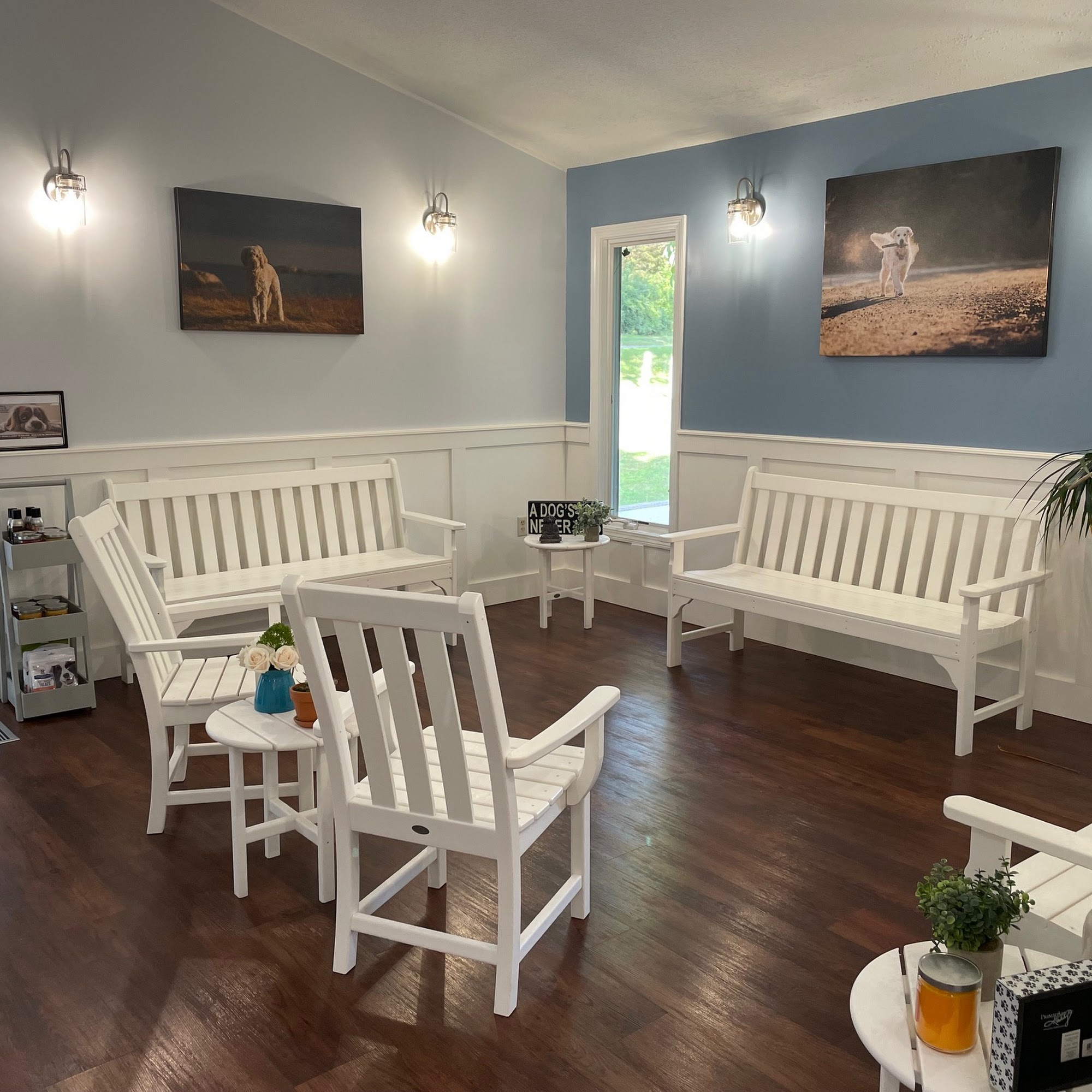 Chester Veterinary Clinic Chester