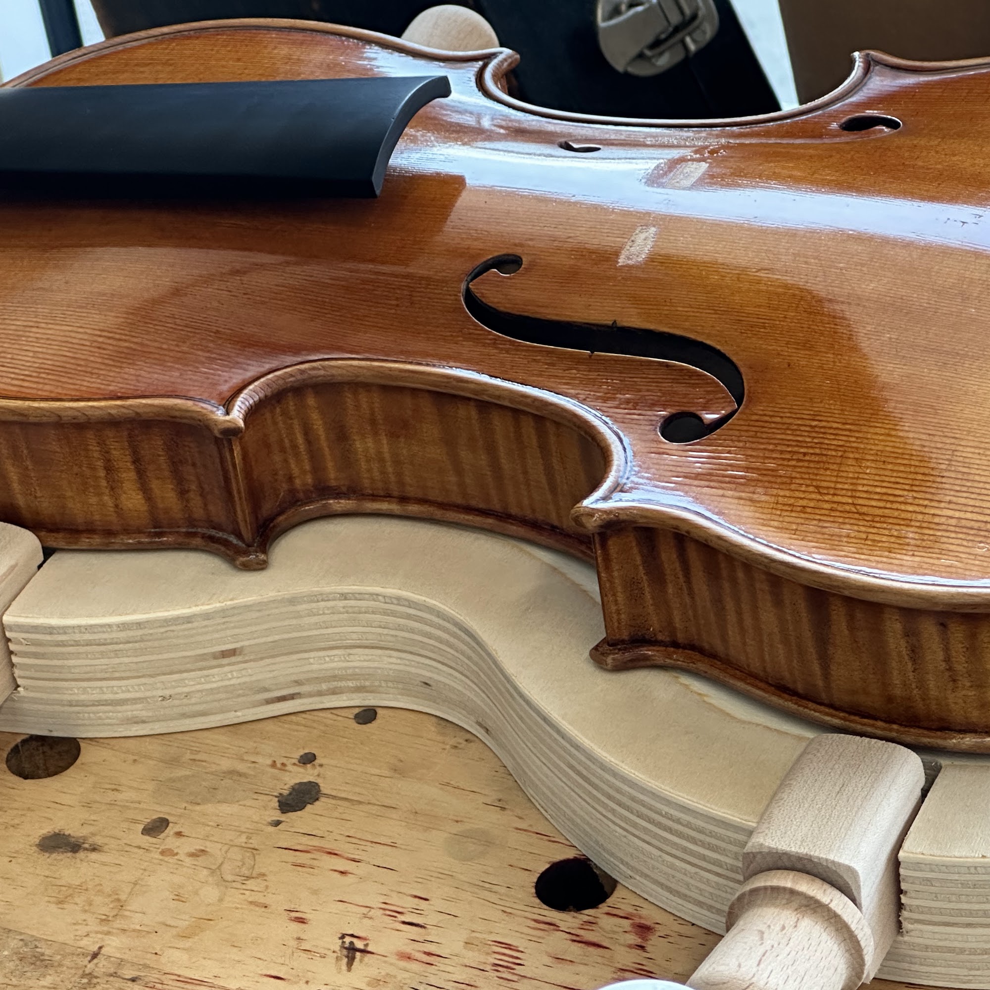 Carol Ann Kelsey-Smith