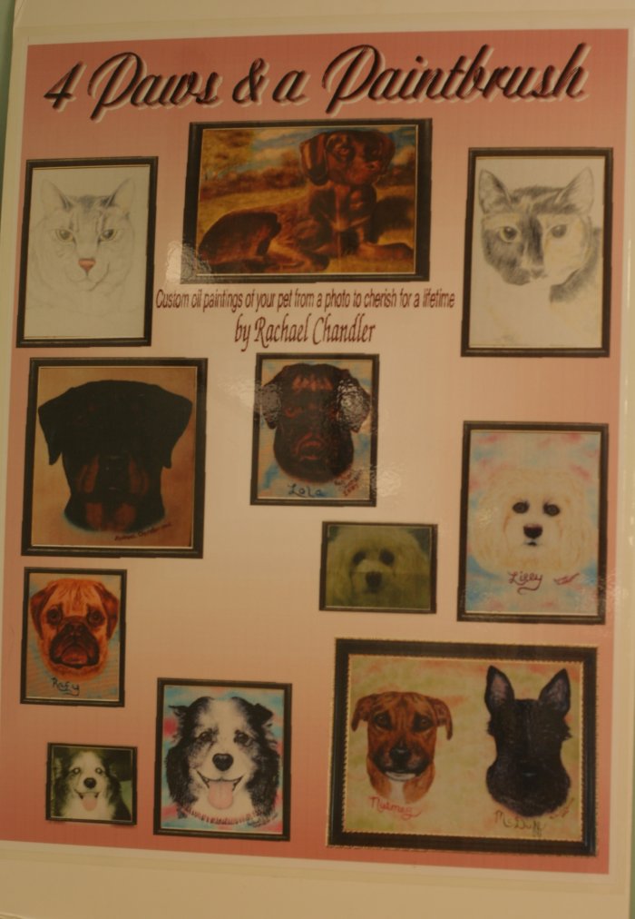 VCA Cromwell Animal Hospital Cromwell