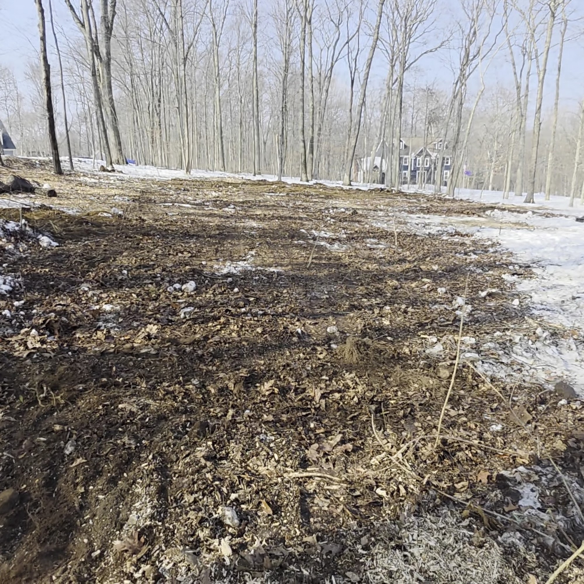 Jose Salinas Tree Service 54 Pleasant St, Danbury Connecticut 06810