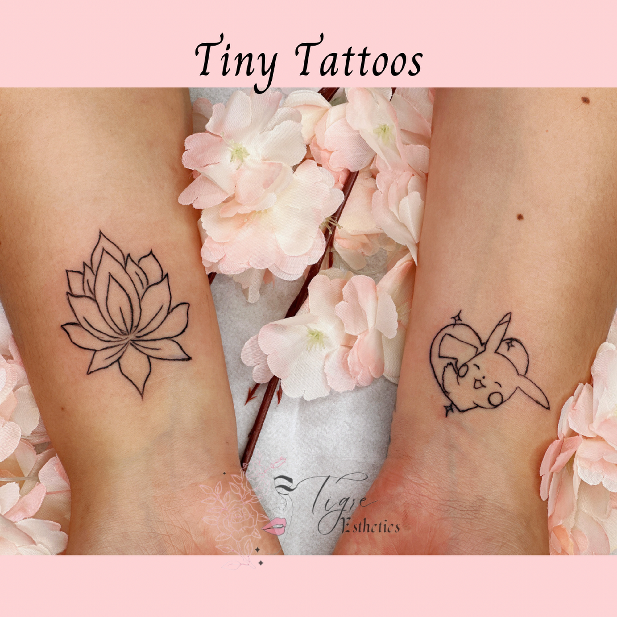 TIGRE ESTHETICS / Belle Academy Satellite Classroom