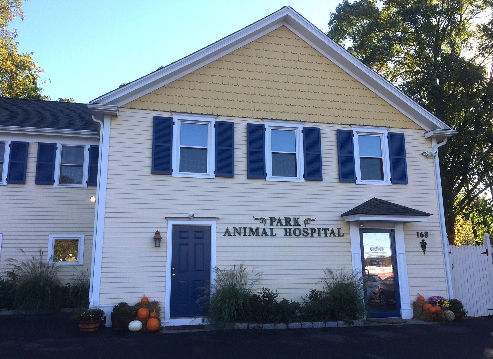 Park Animal Hospital Darien