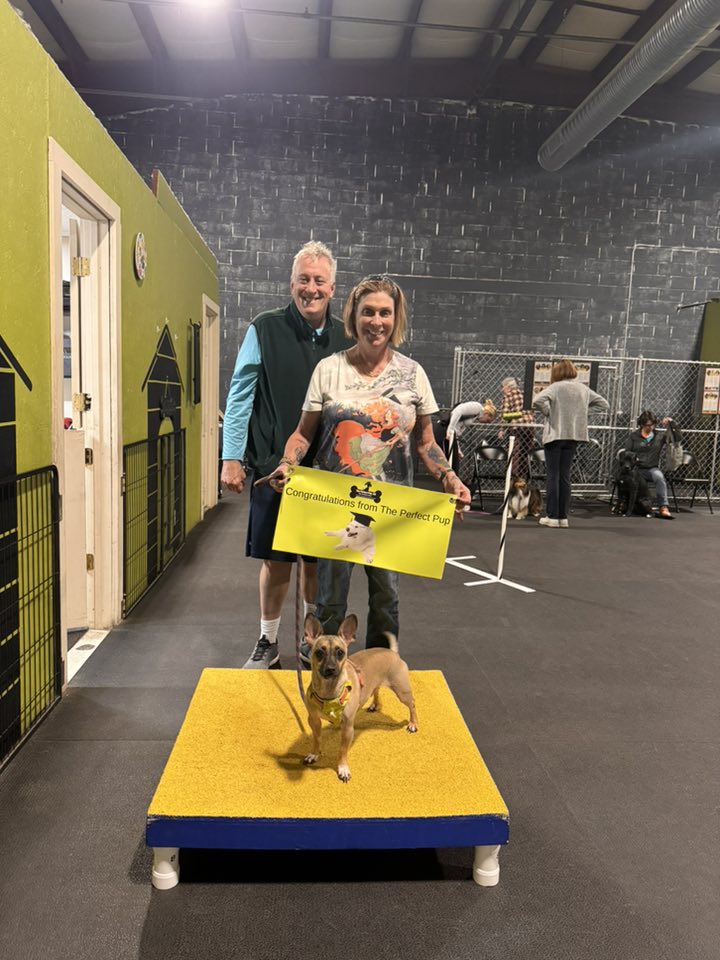 The Perfect Pup, LLC Deep River