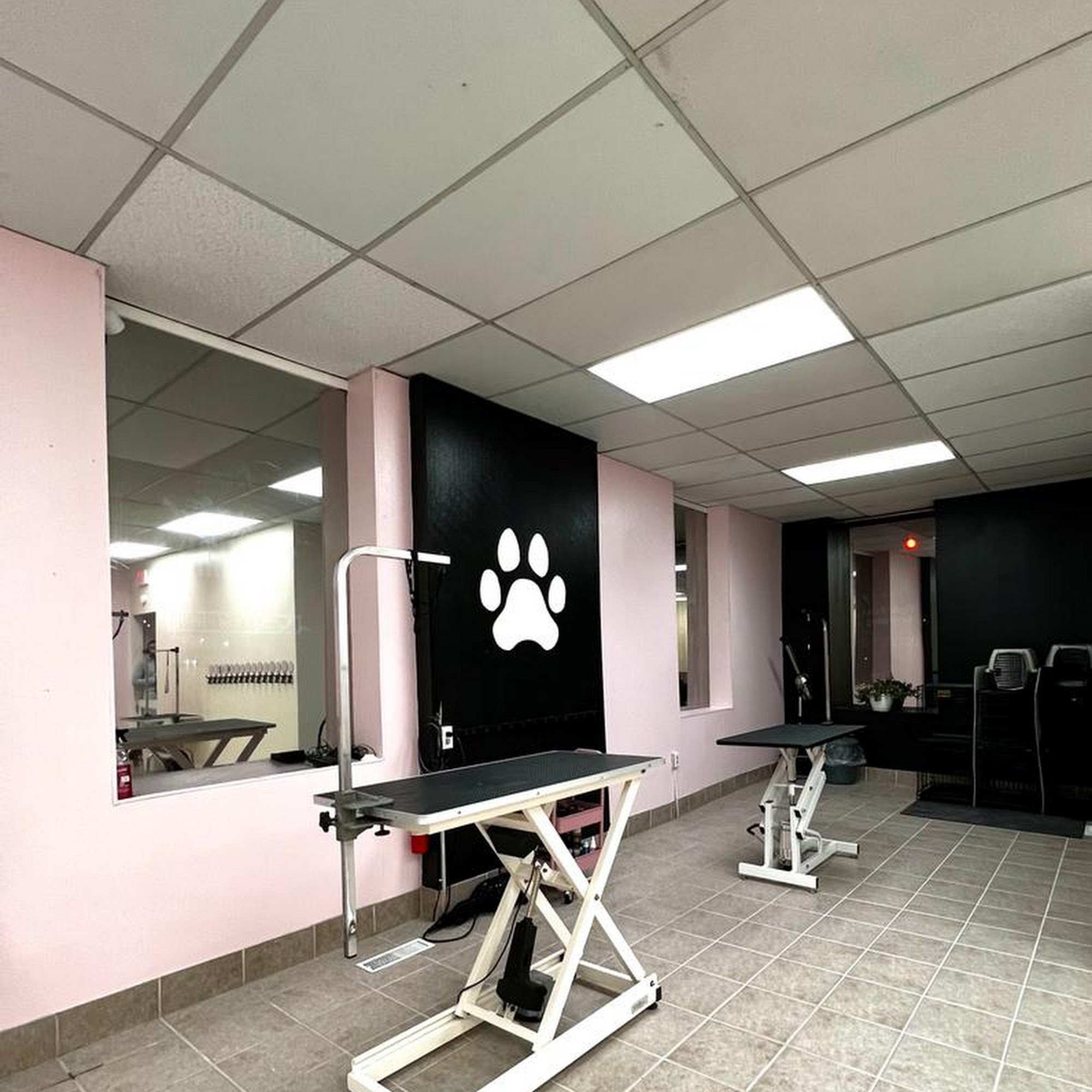 Pink Paws Grooming Derby