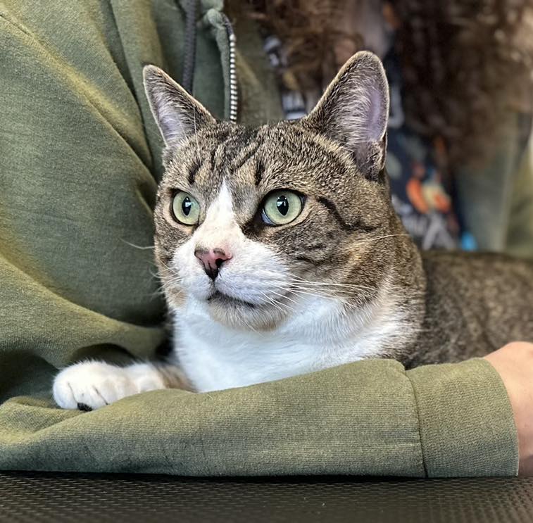 All Creatures Wise and Wonderful East Granby