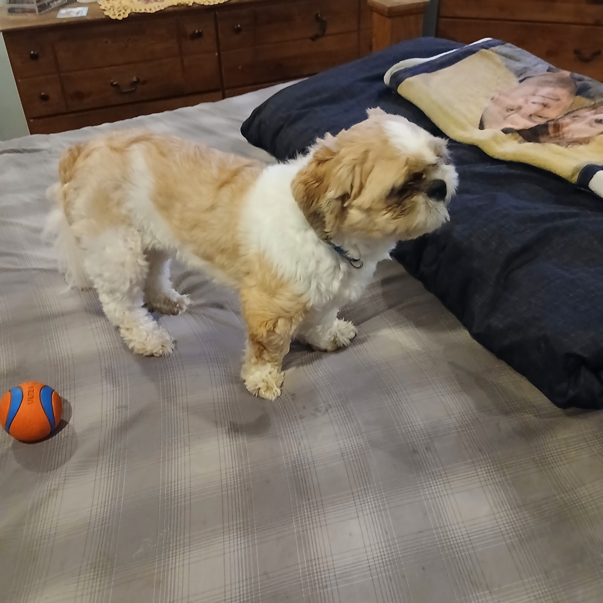 East Hartford Animal Clinic East Hartford