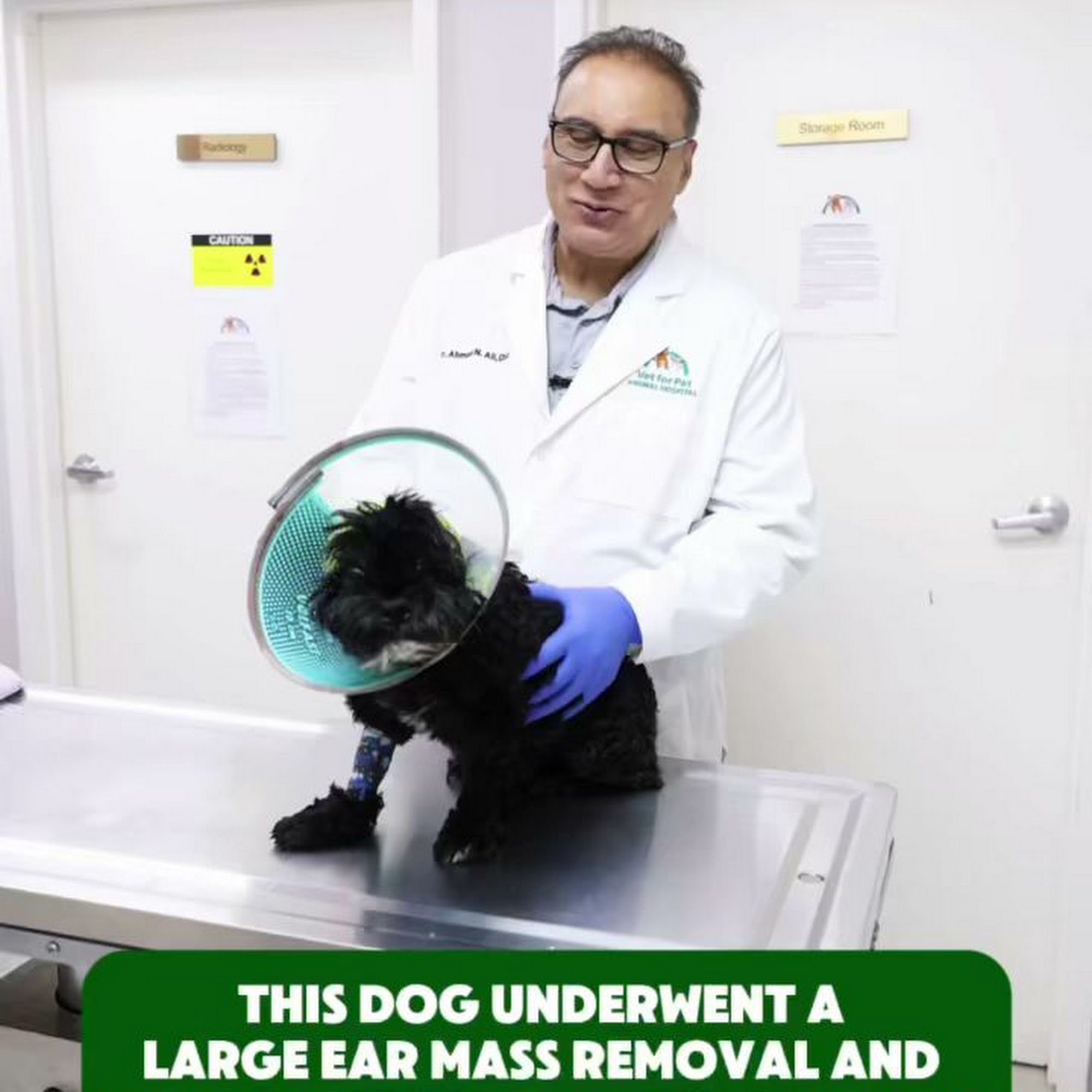 Vet for Pet Wellness & Emergency Animal Hospital East Hartford