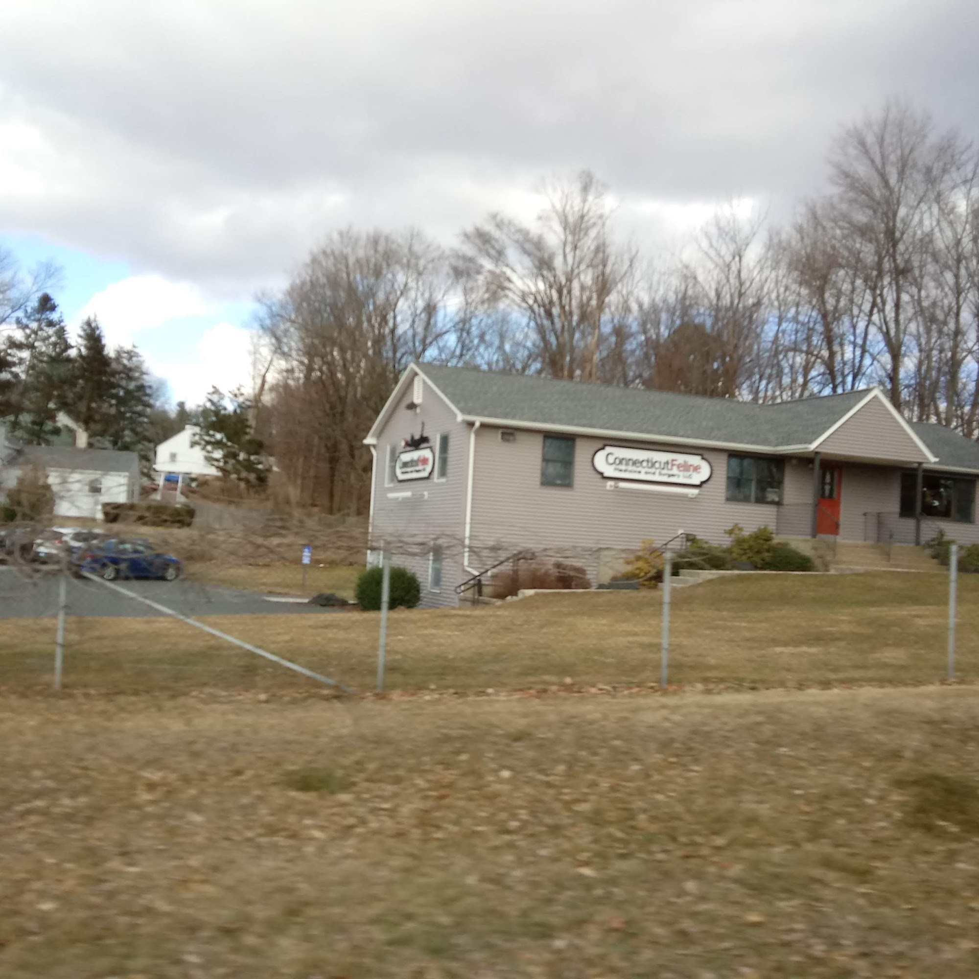 Connecticut Feline Medicine and Surgery East Hartford
