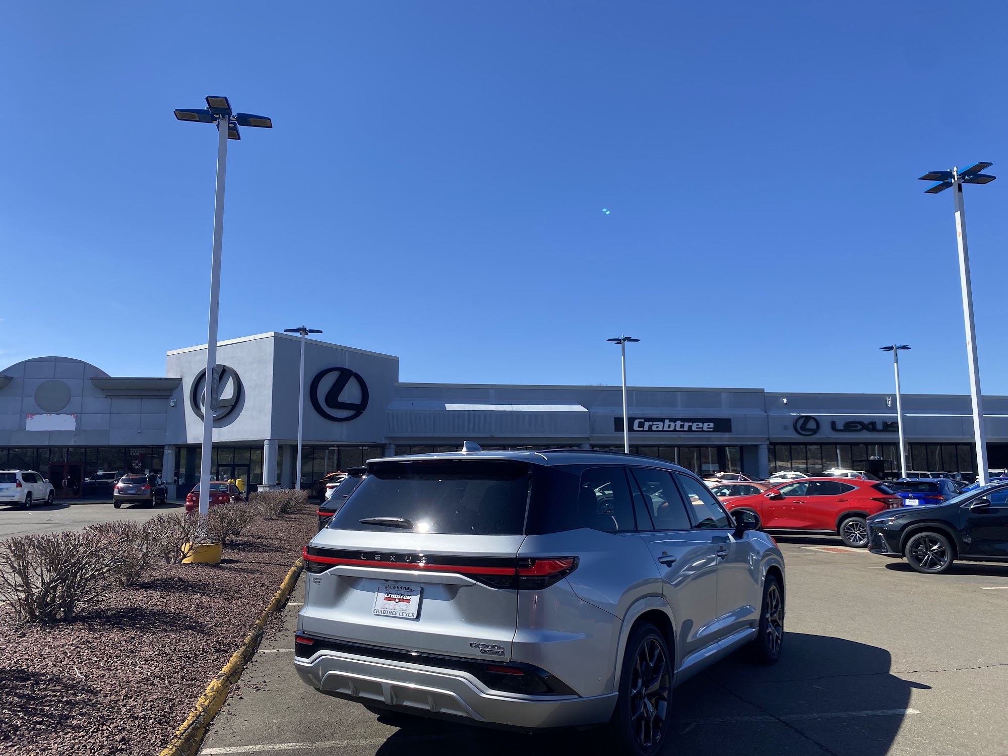 Carbone's Auto Sales Inc