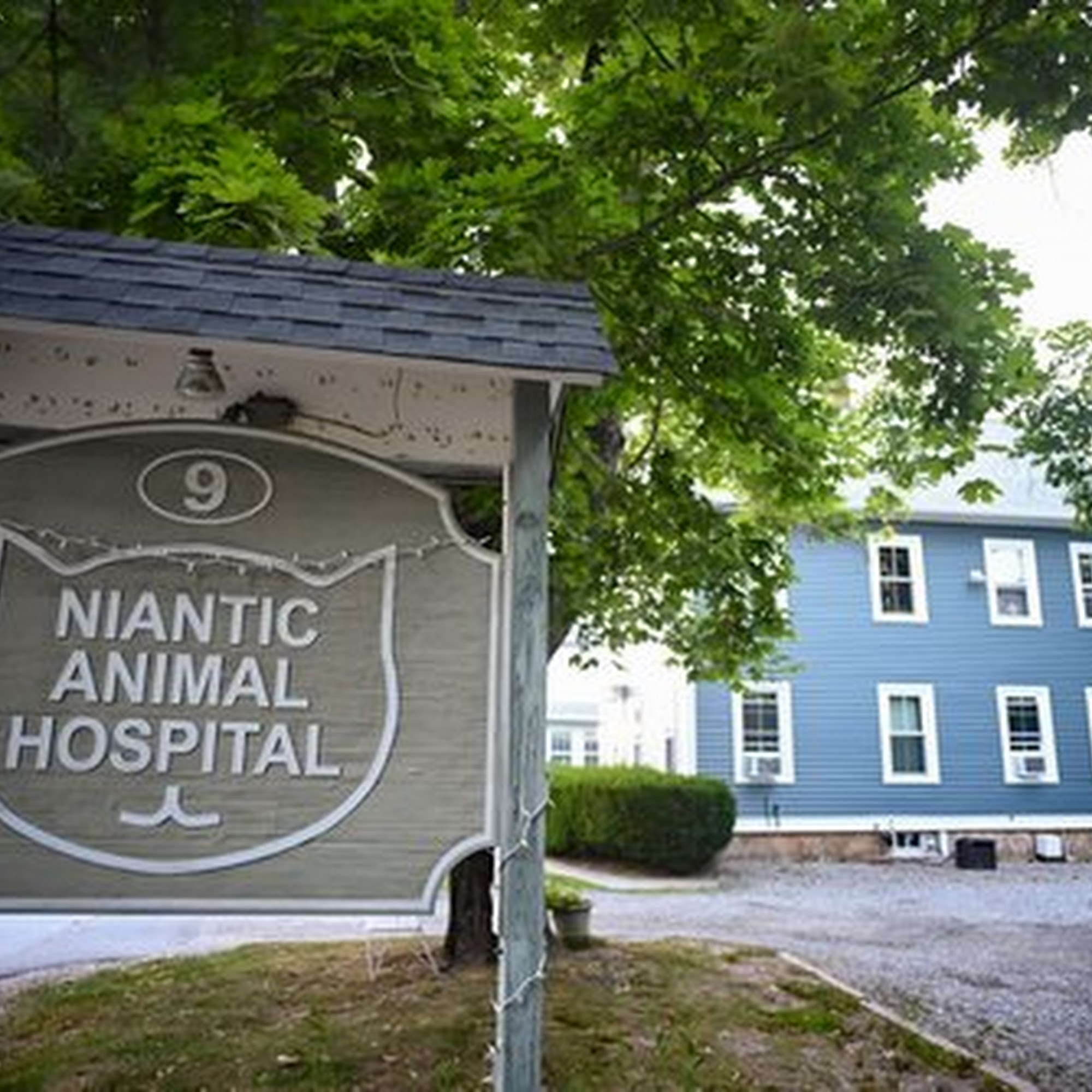 Niantic Animal Hospital East Lyme