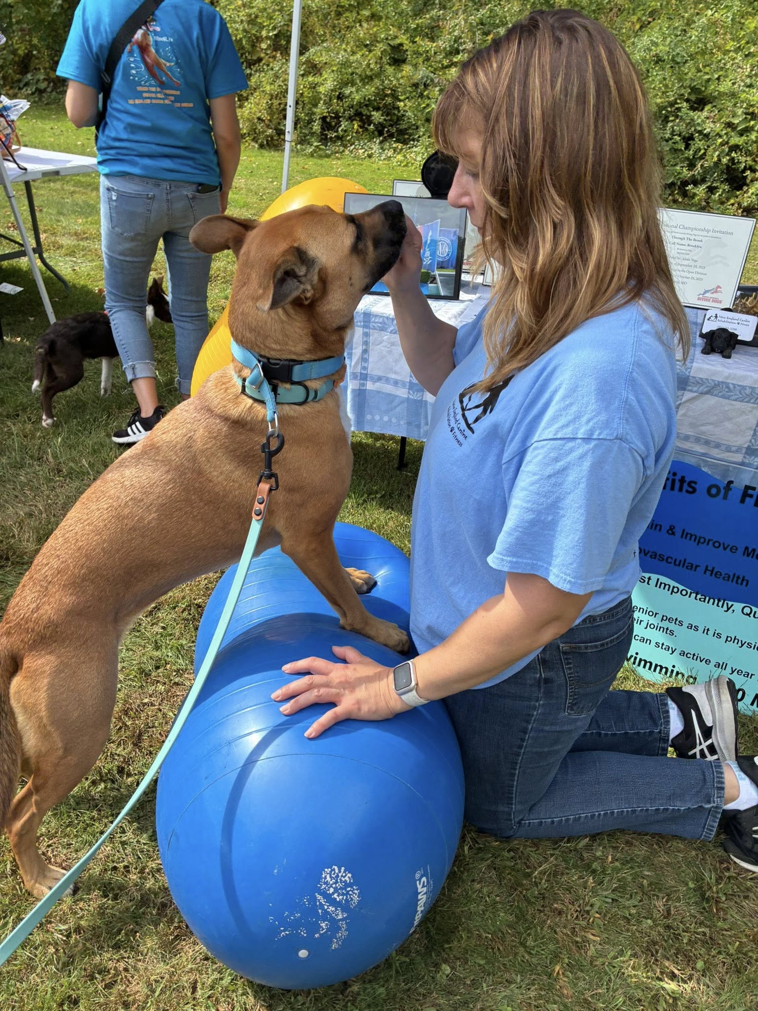 New England Canine Rehab Enfield