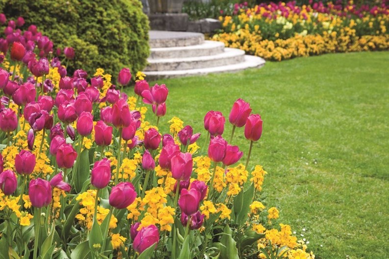 Tweedlie Landscaping