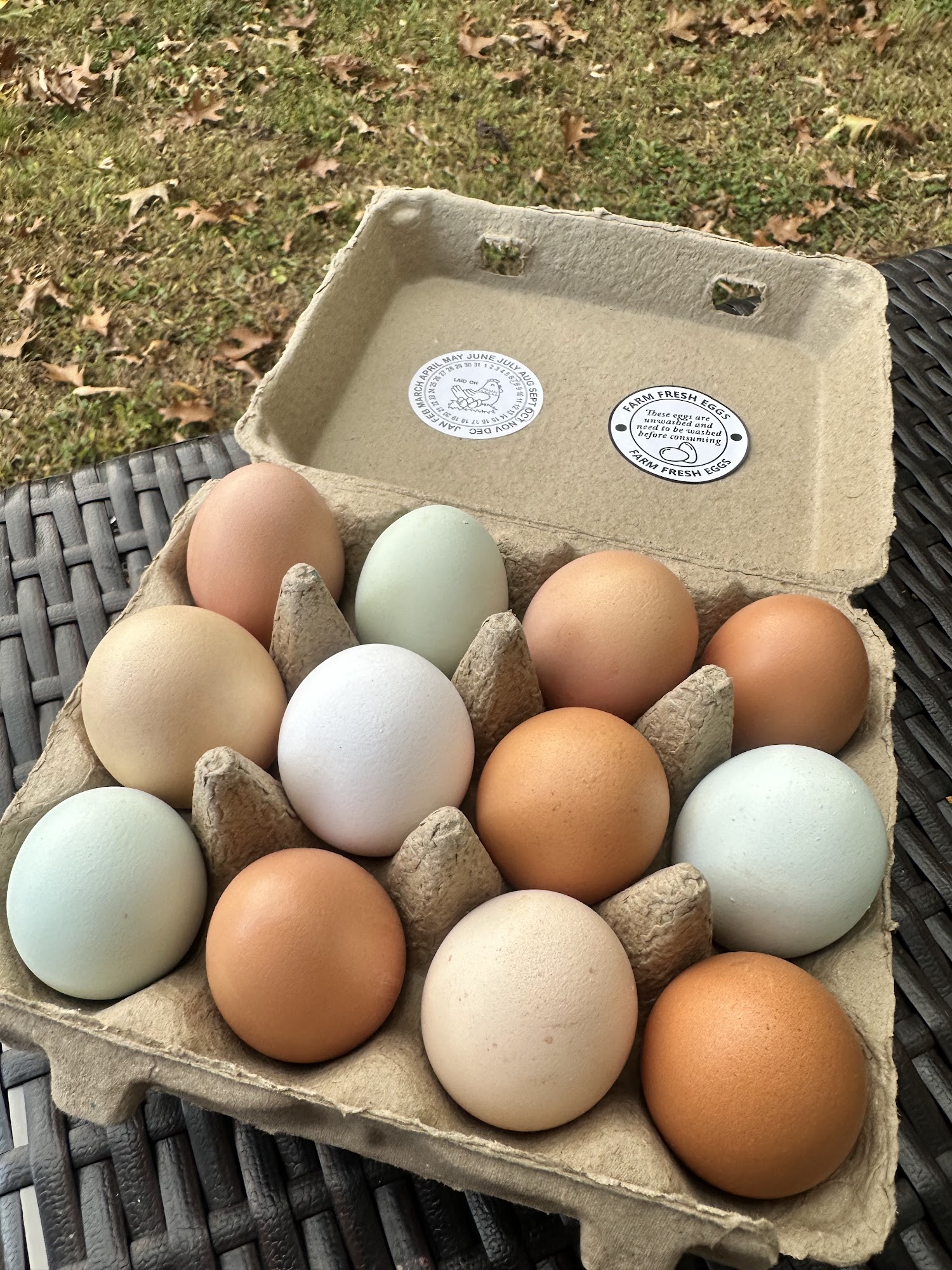 Alina's Cakes and Cookies Menu