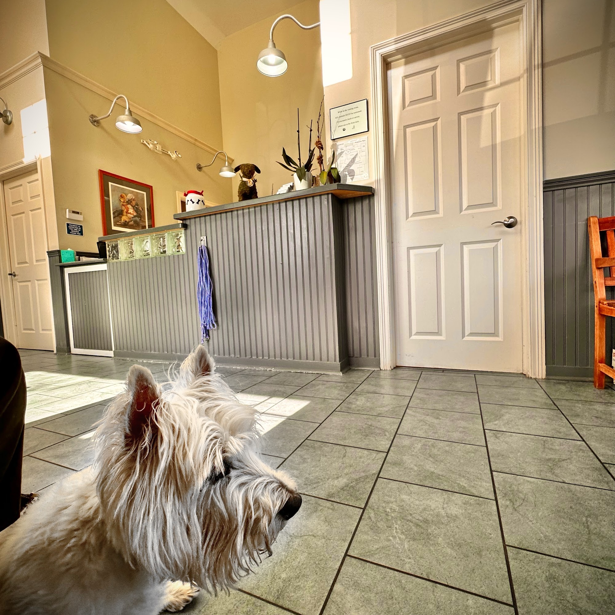 Fairfield Veterinary Hospital Fairfield