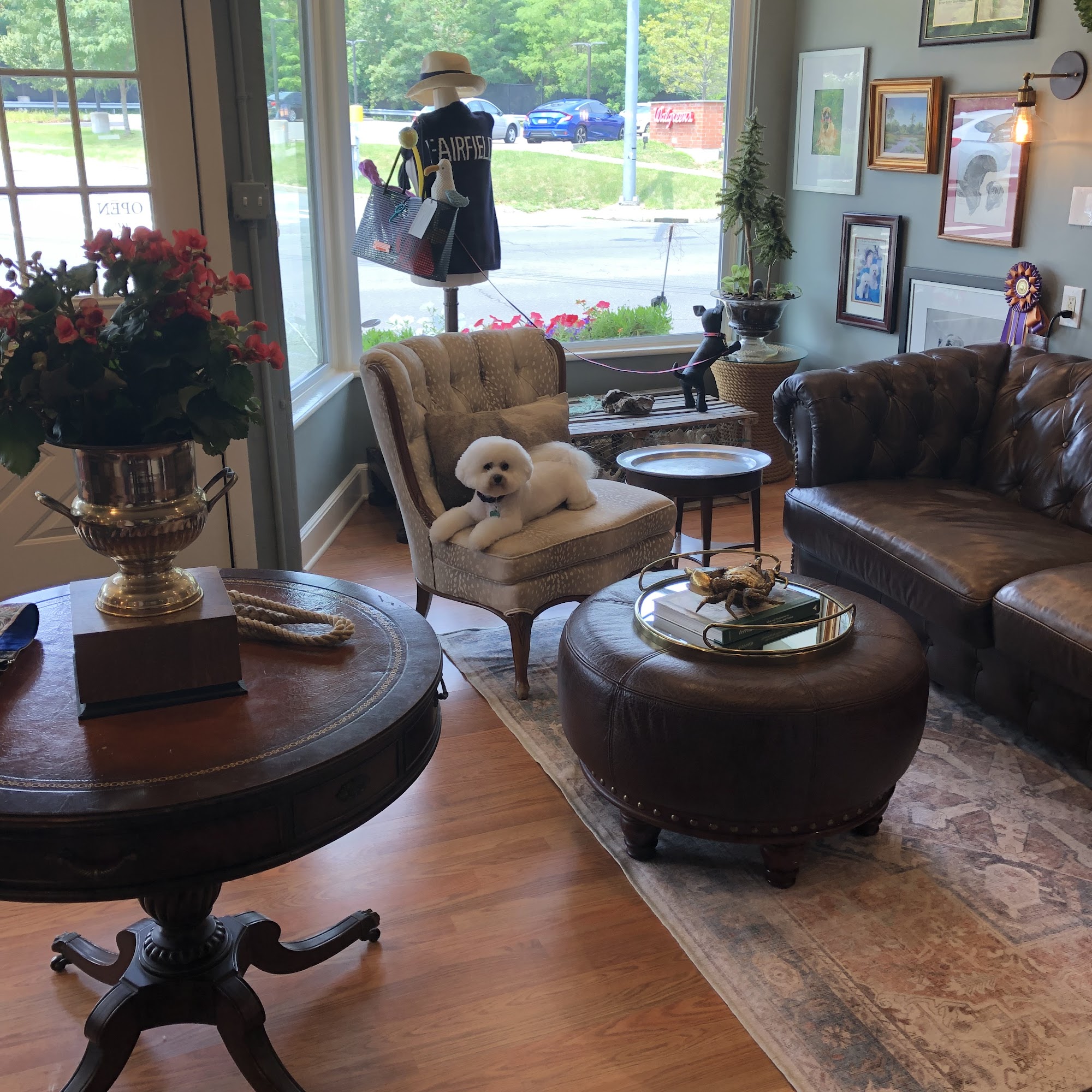 The Salty Dog Grooming Shoppe, LLC Fairfield