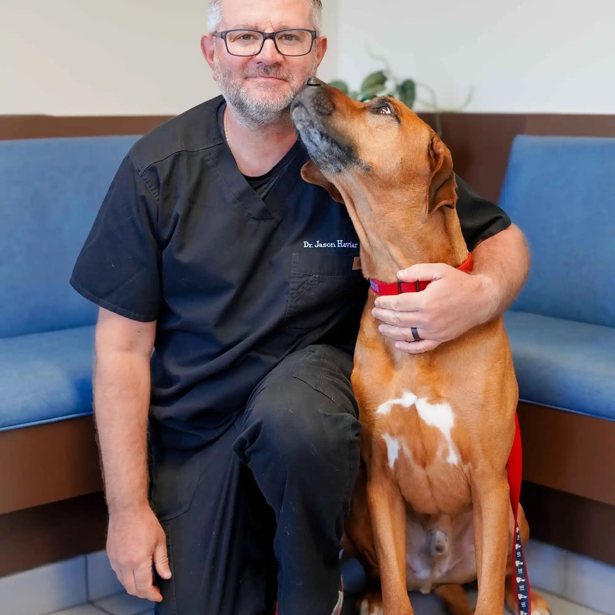 Glastonbury Veterinary Hospital Glastonbury