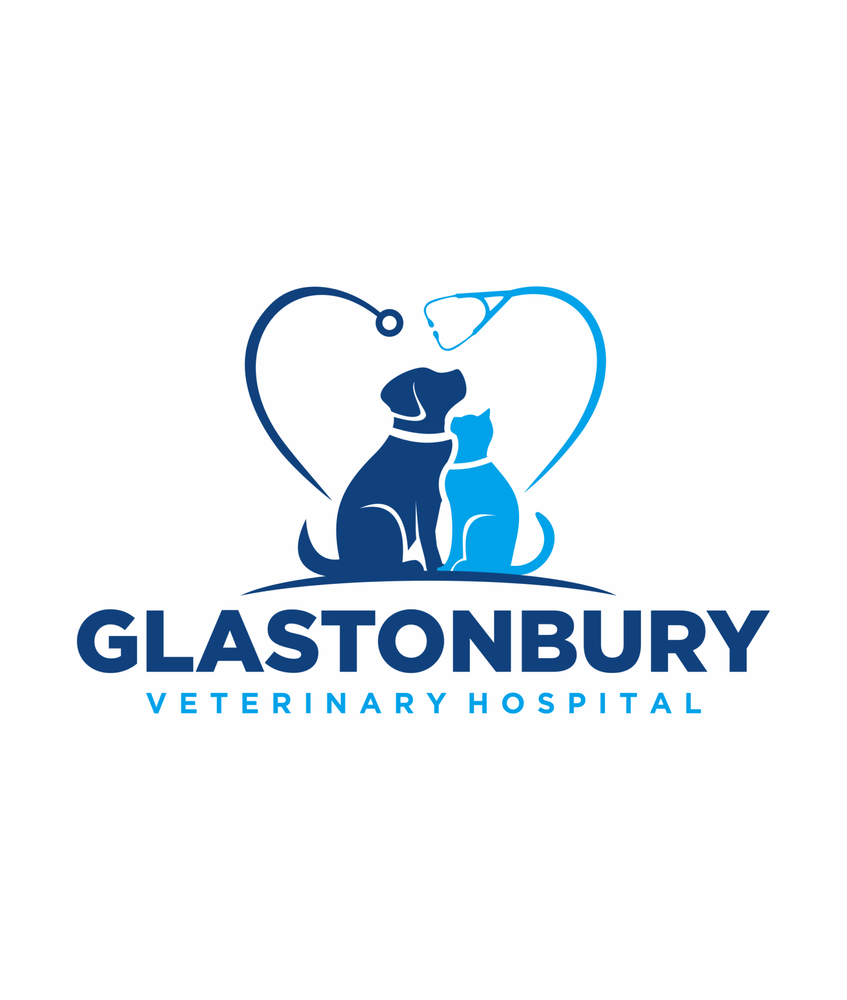 Glastonbury Veterinary Hospital: Peterson Kristen DVM Glastonbury