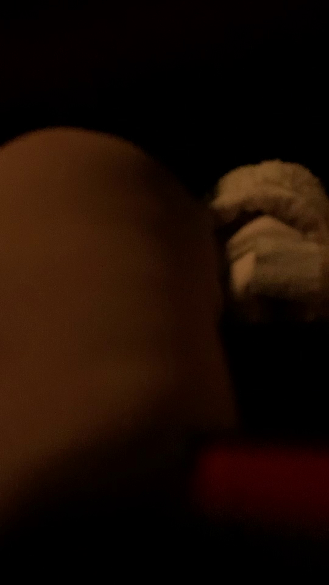 Seed kitchen + bagelry Glastonbury