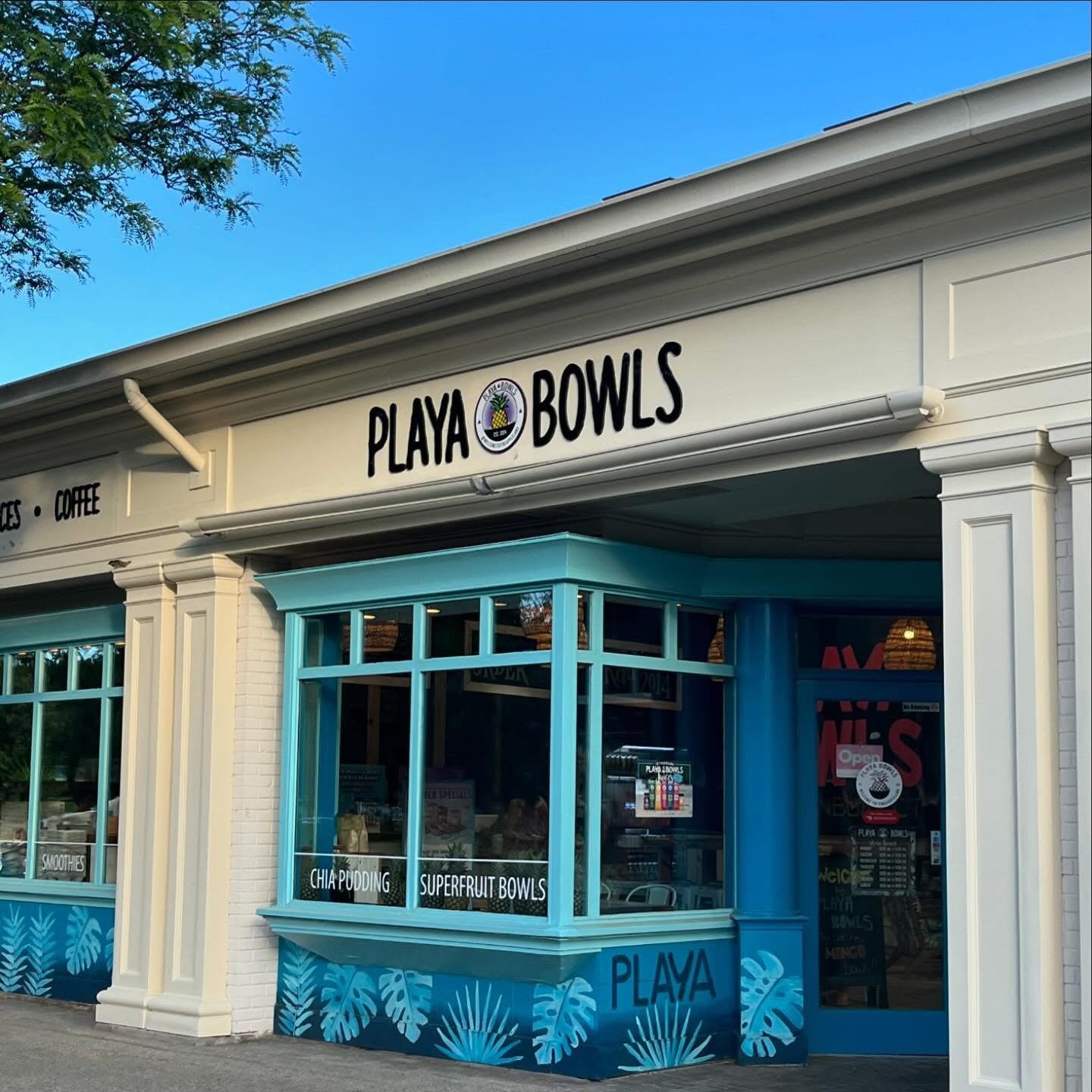 Playa Bowls Glastonbury