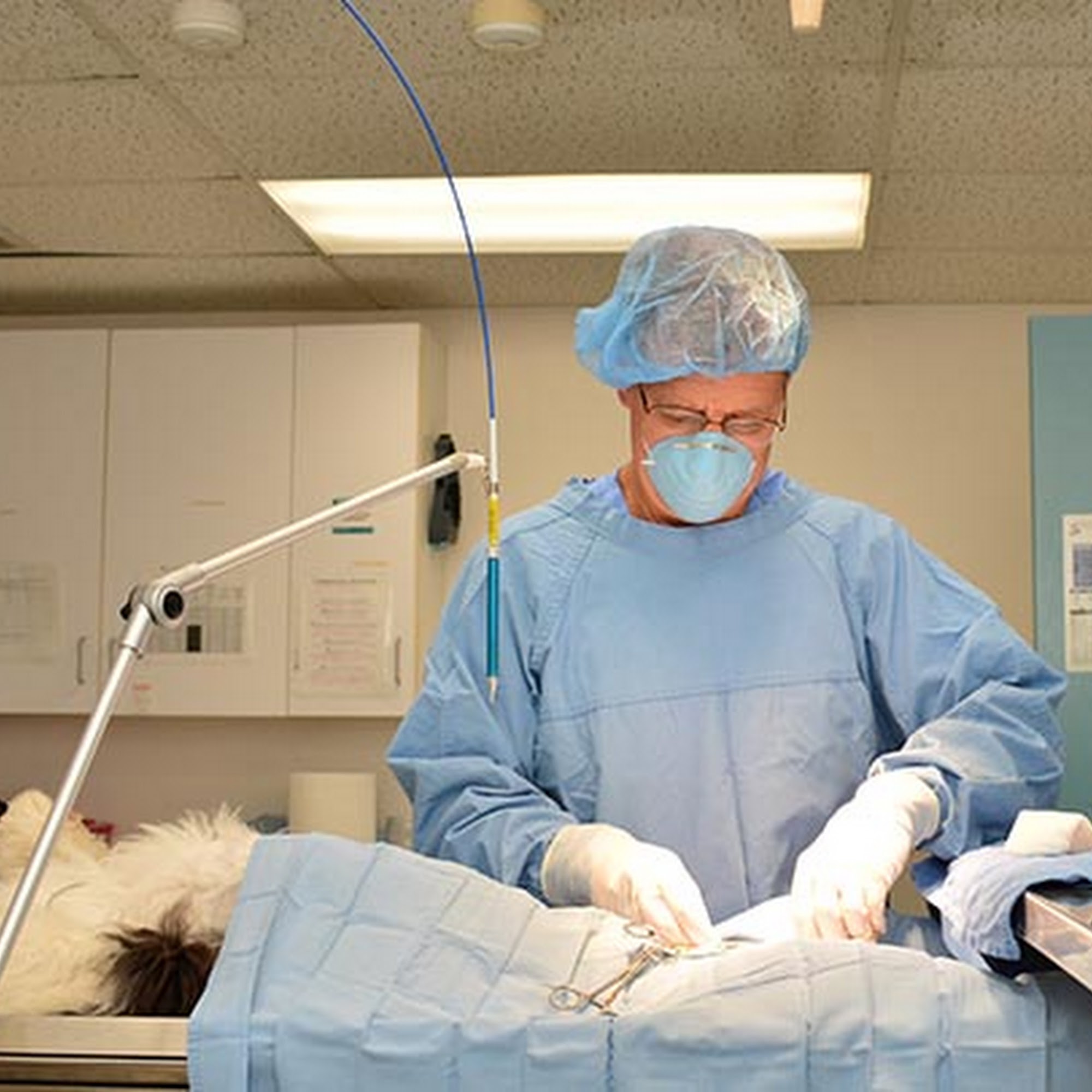 Salmon Brook Veterinary Hospital Granby