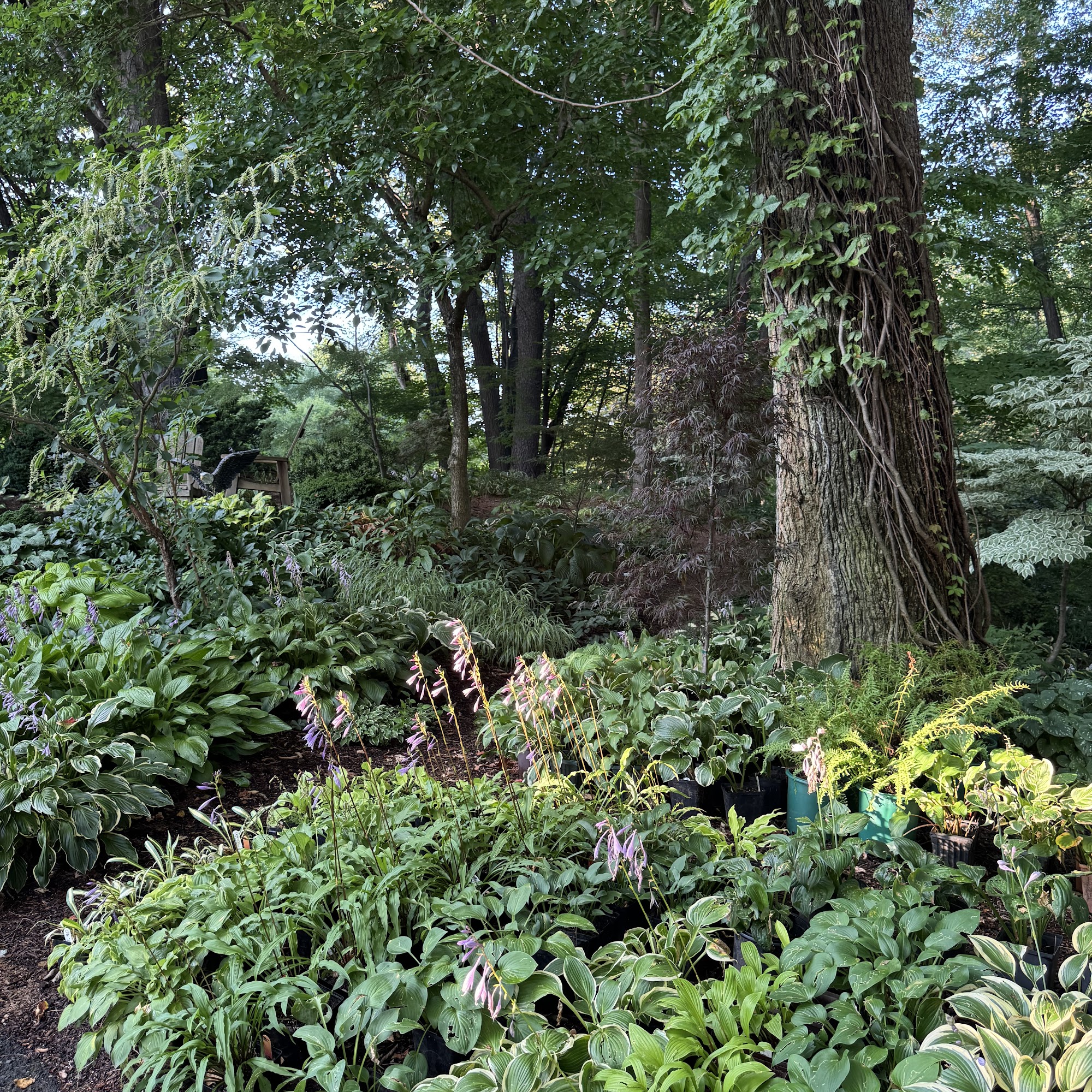 O'Brien Nurserymen LLC 40 Wells Rd, Granby Connecticut 06035