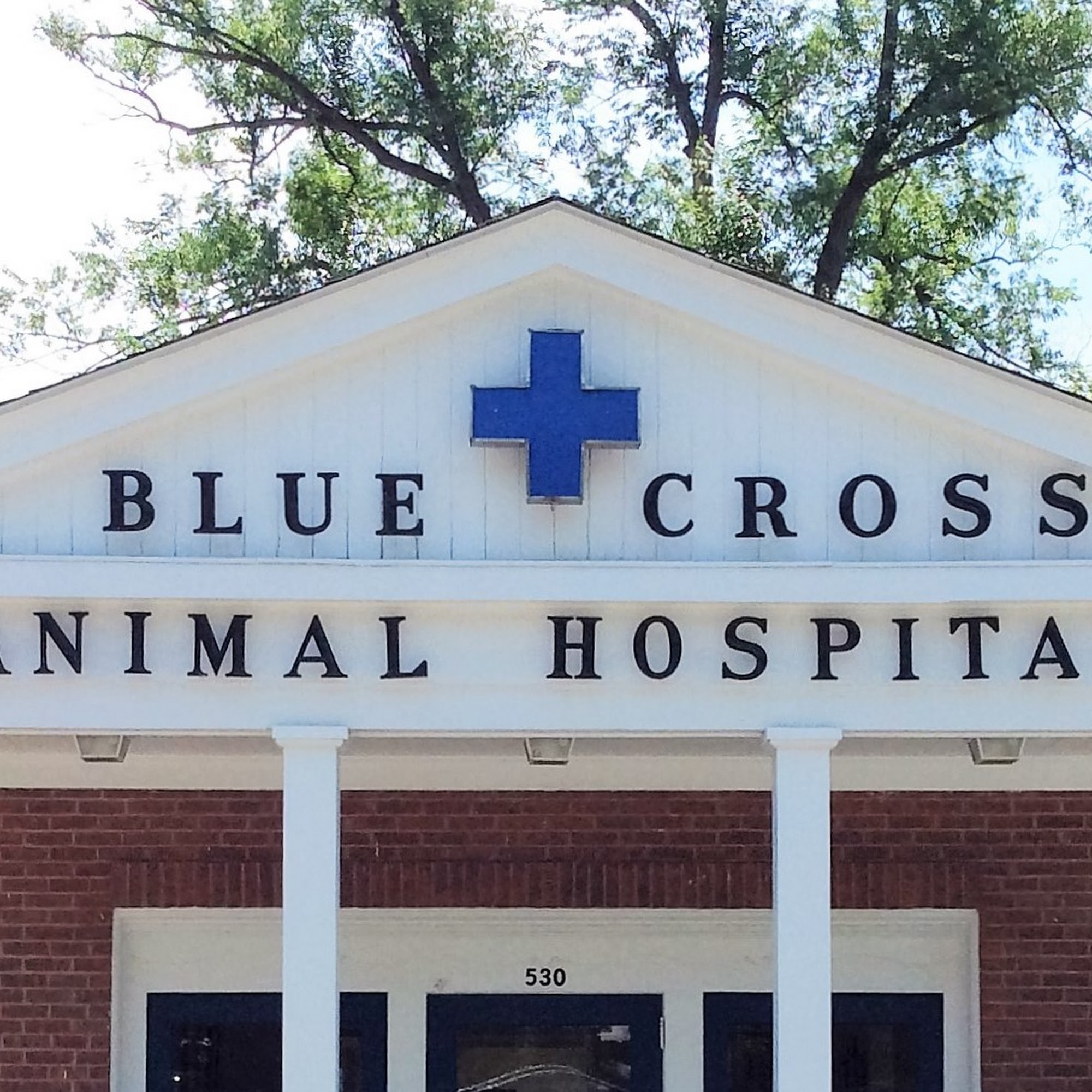Blue Cross Animal Hospital Greenwich