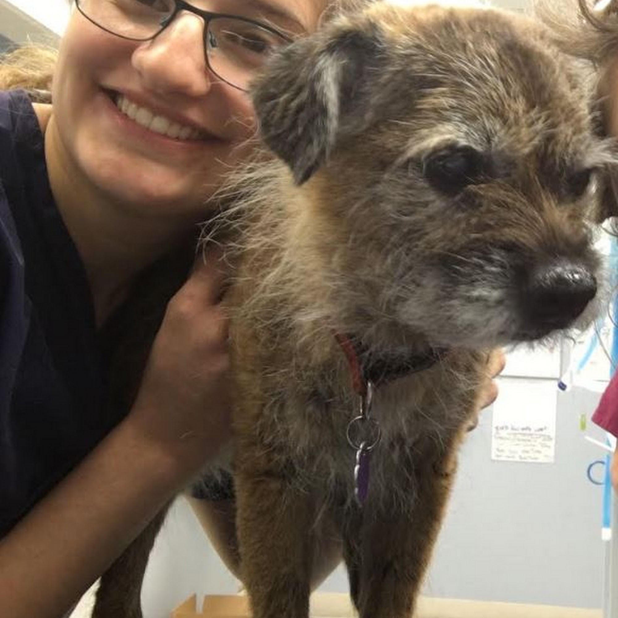 Noank-Mystic Veterinary Hospital Groton