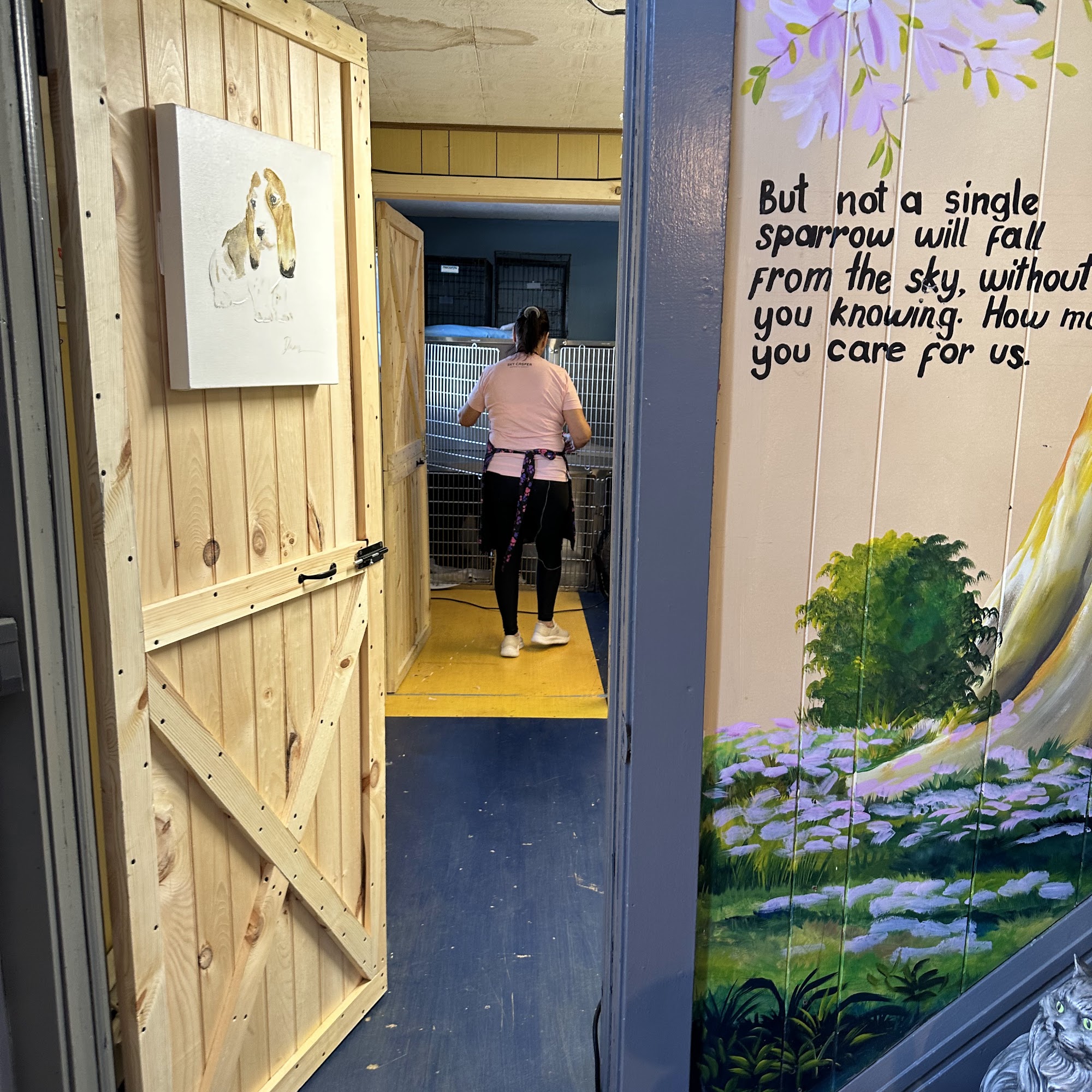 Sharp K-9 Clippers Groton