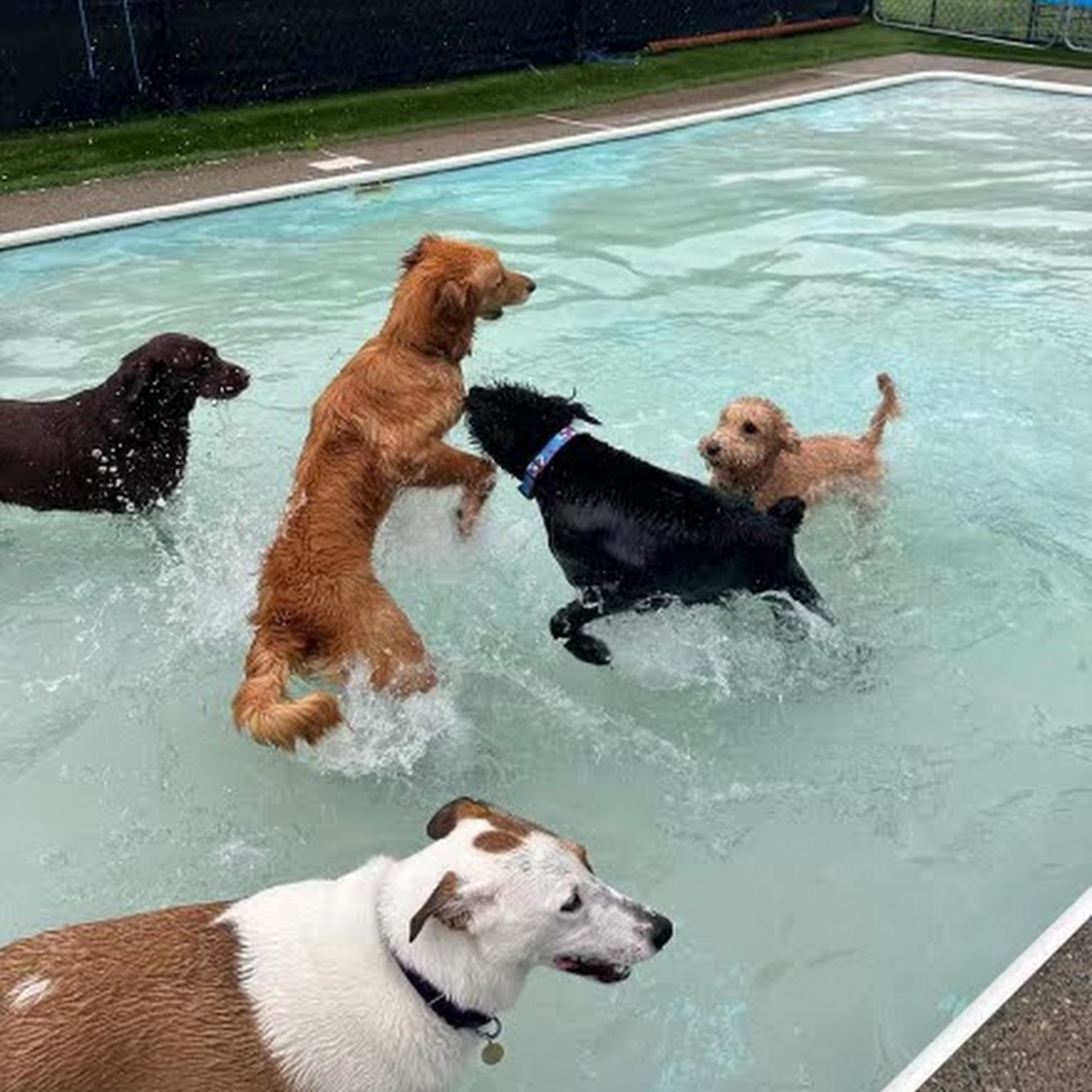Fun Play Bark Lodge Groton