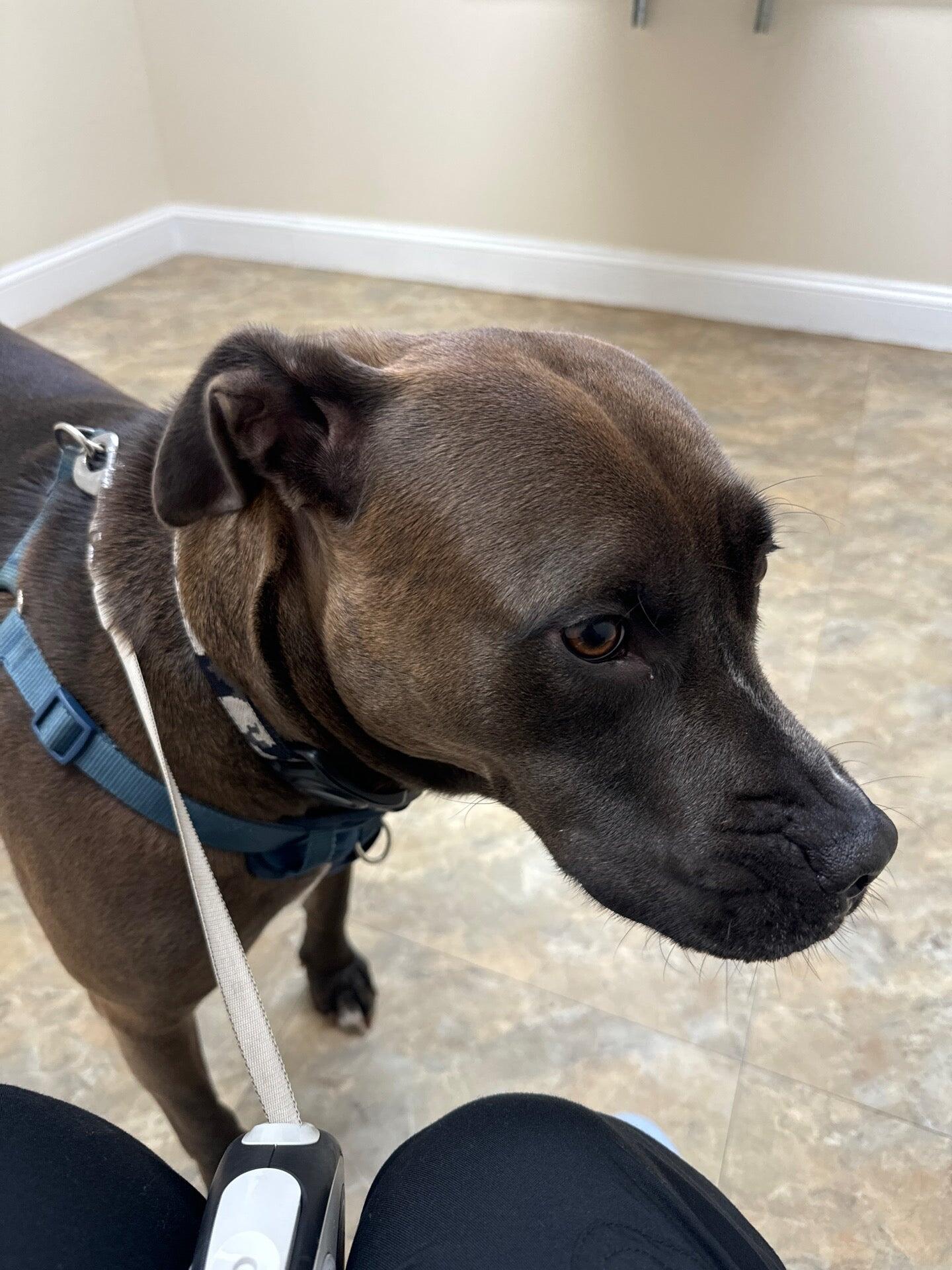 Higganum Veterinary Clinic Haddam