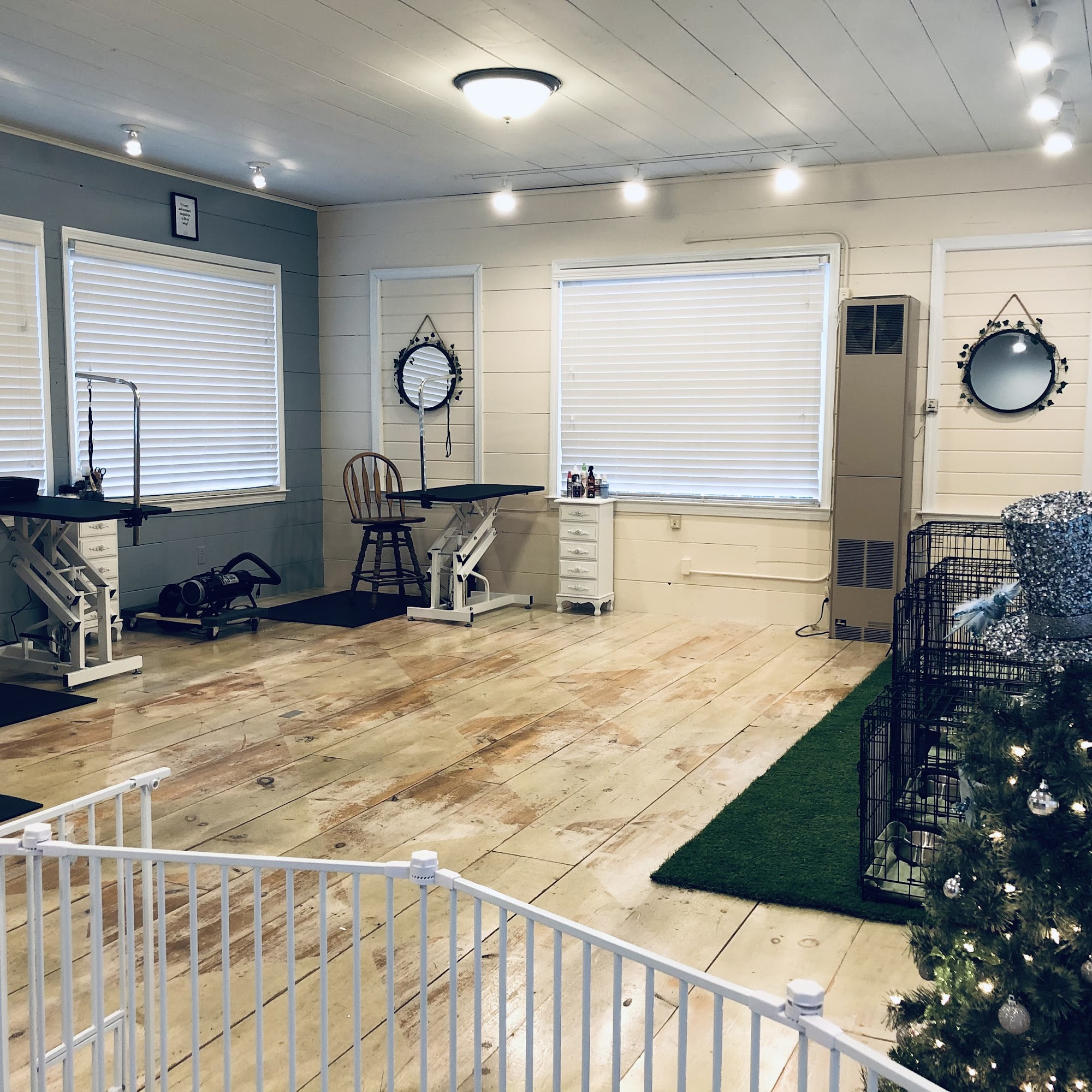 Wonder Paws Pet Spa Haddam