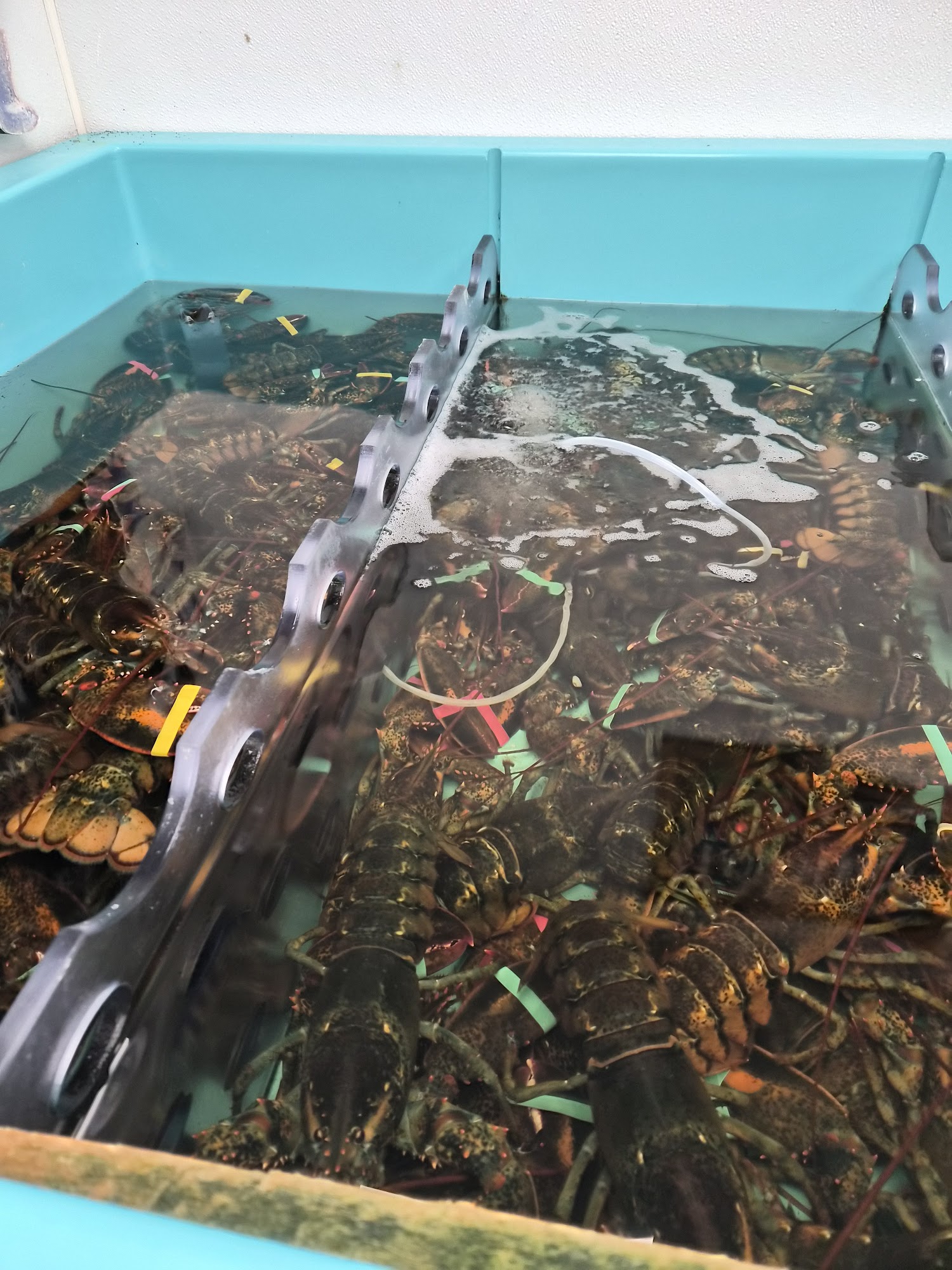 Number One Fish Market Menu