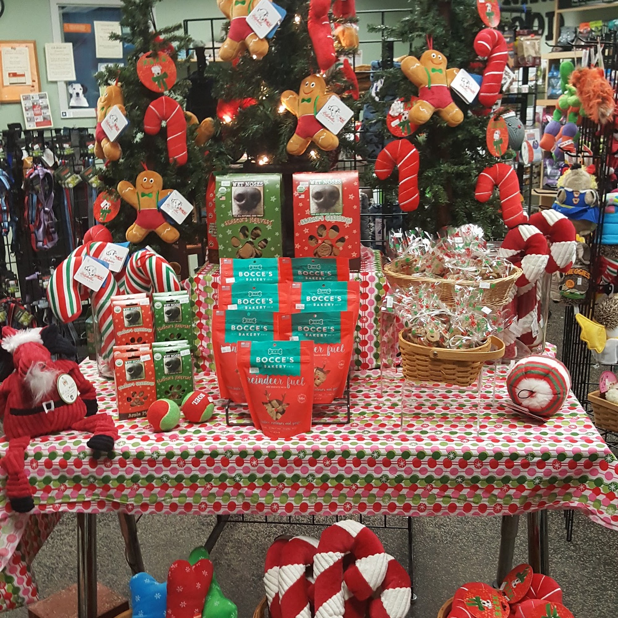 Paws 'N Effect Canine Training Center Hamden