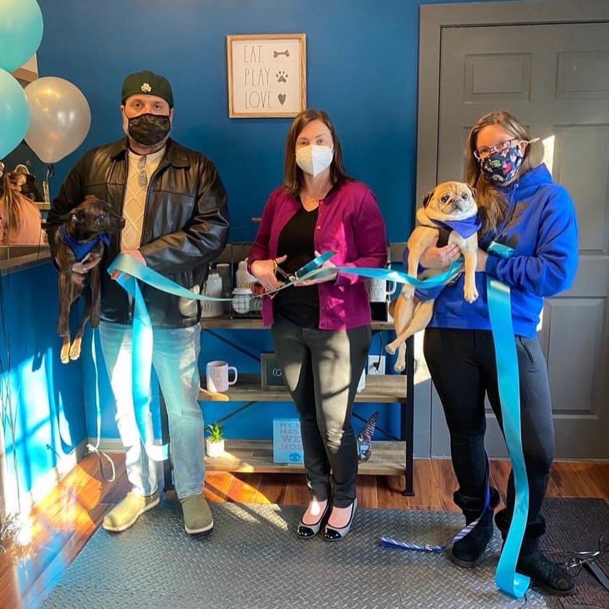 True Love Pet Care Hamden