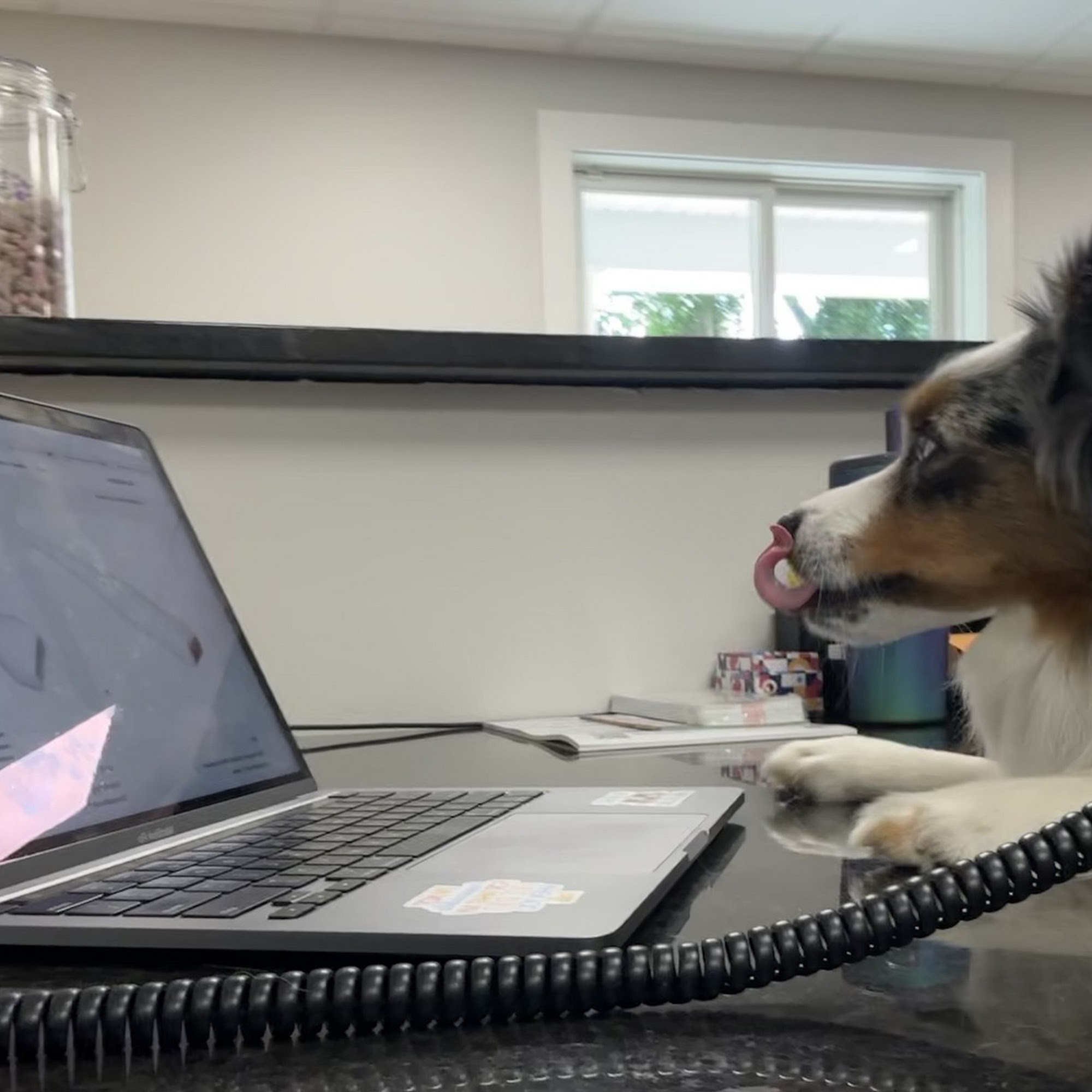 Hebron Veterinary Hospital Hebron