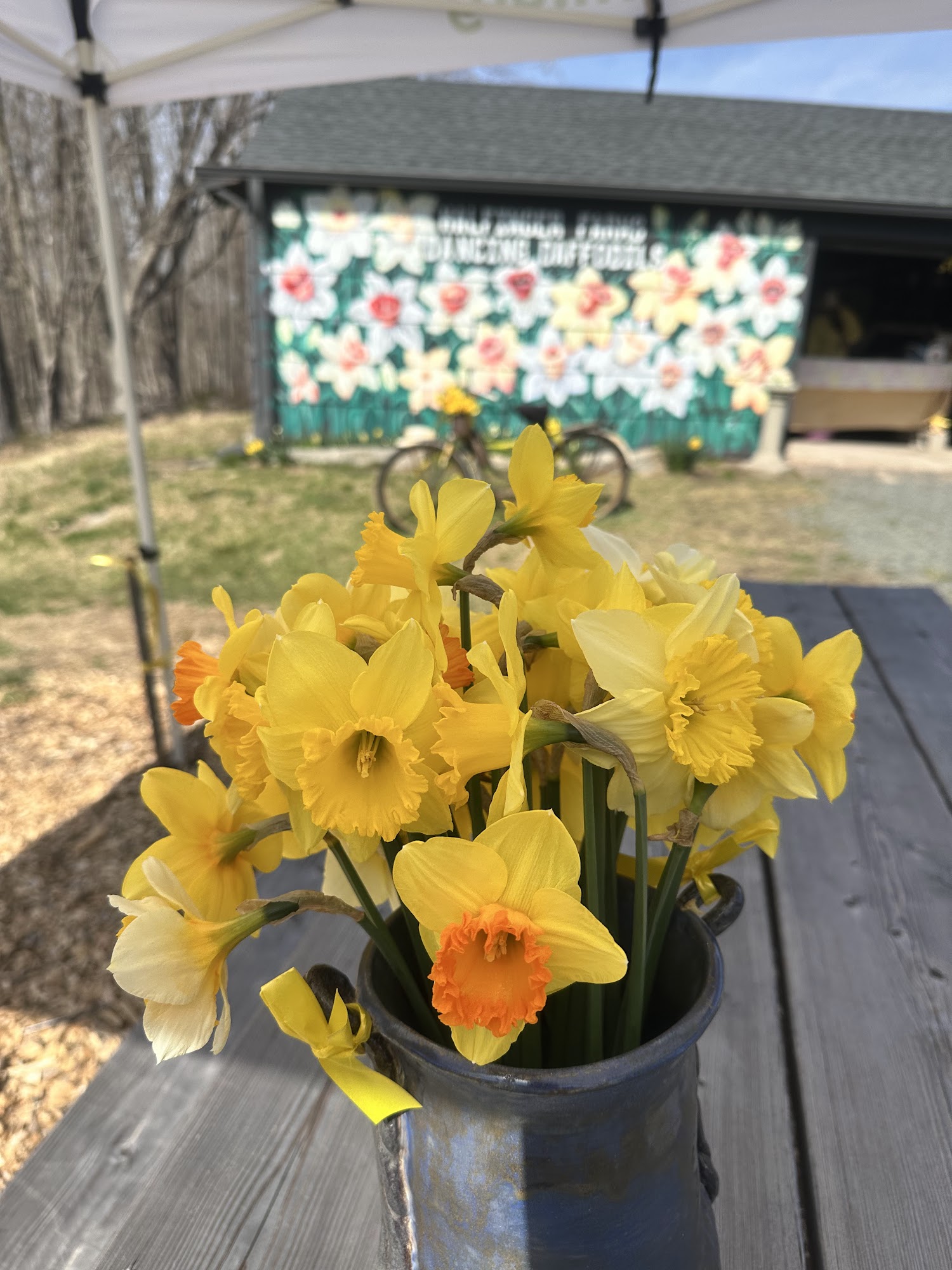 Halfinger Farms Higganum
