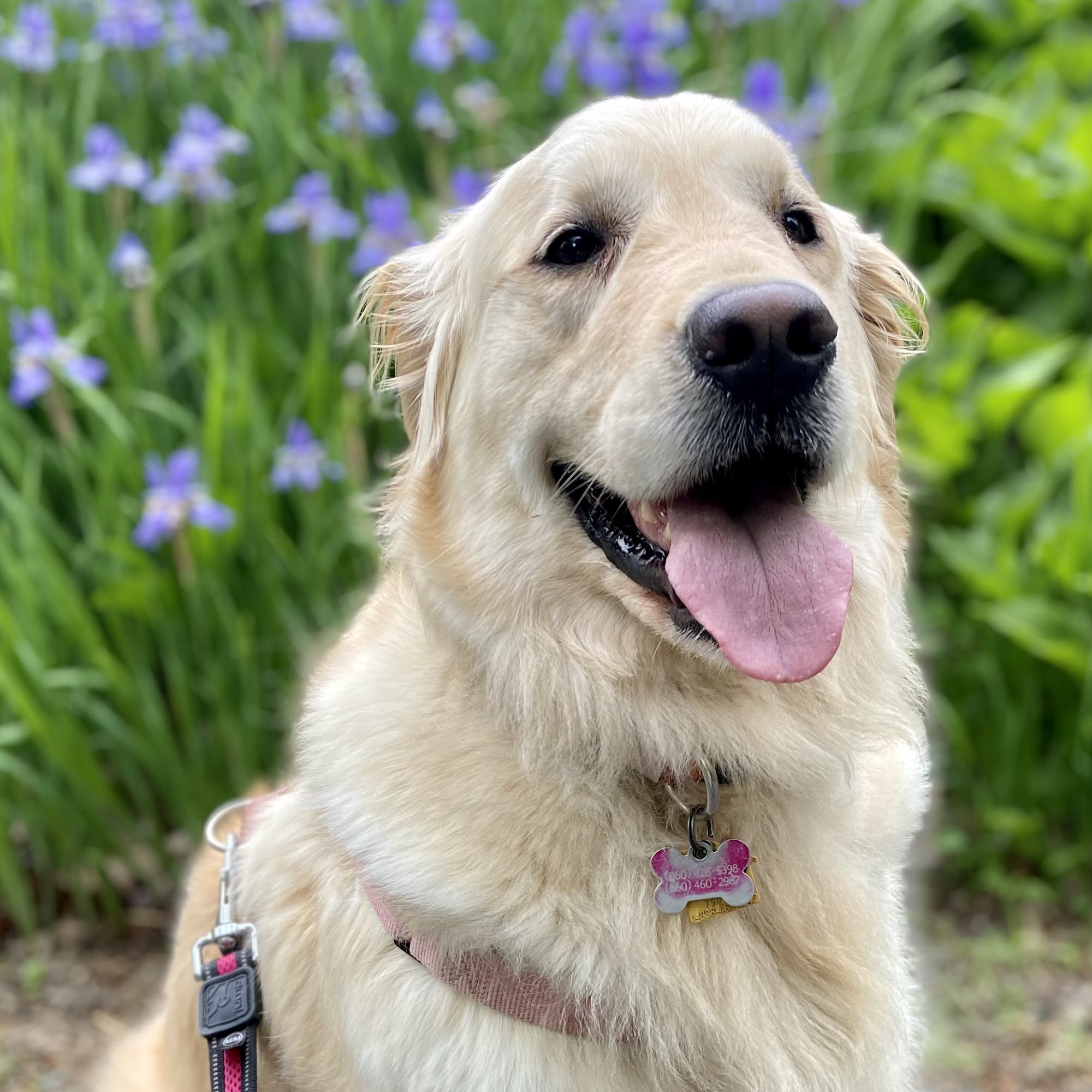 Quinebaug Valley Veterinary Hospital Killingly